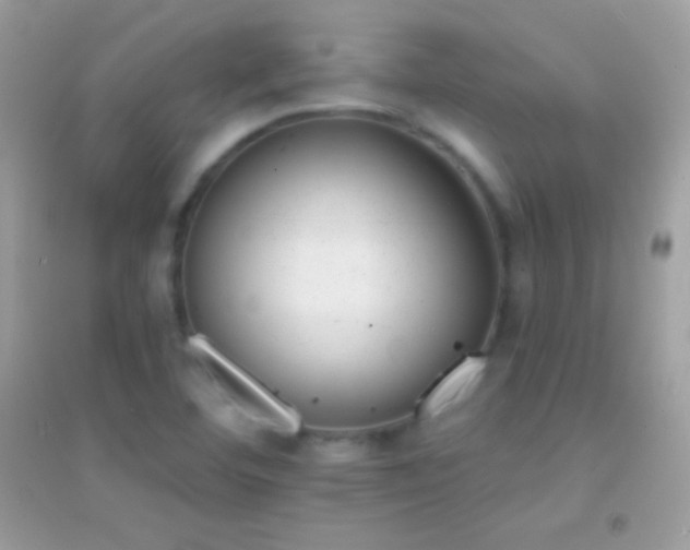 X0000095111460200712071206