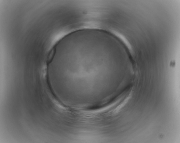 X0000095111461200712071205