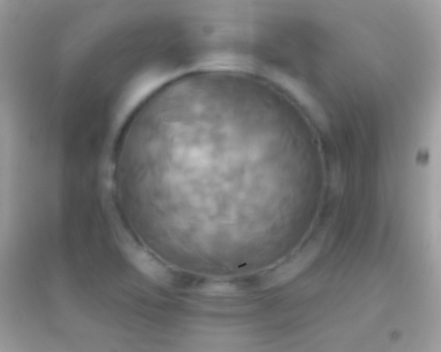 X0000095111462200712071205