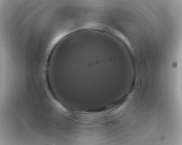 X0000095111463200712071205