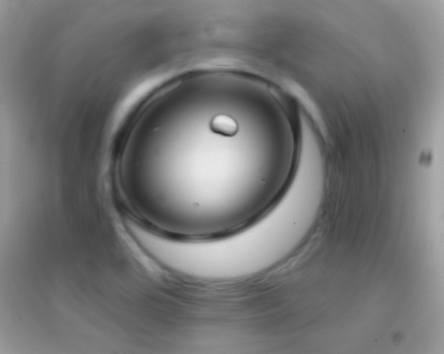 X0000095111464200712071205