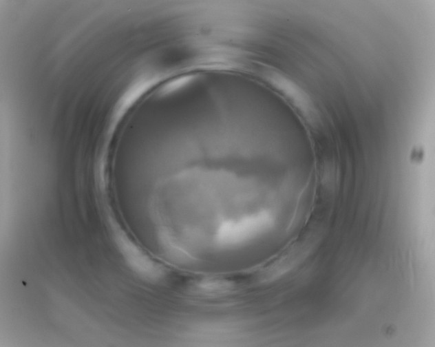 X0000095111466200712071205