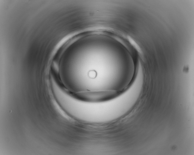 X0000095111468200712071205