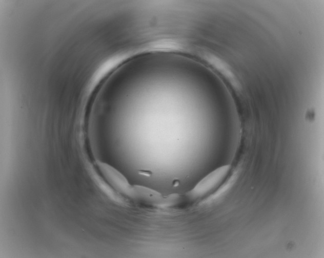 X0000095111469200712071205