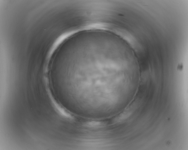 X0000095111470200712071205