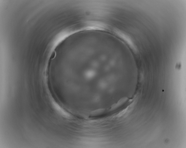 X0000095111471200712071205
