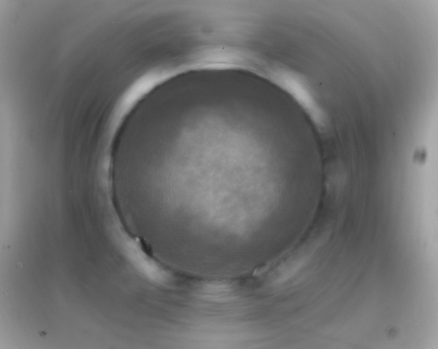 X0000095111472200712071205