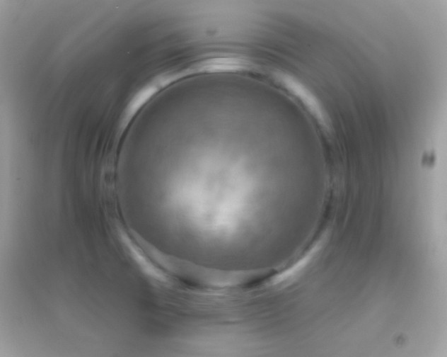 X0000095111473200712071205