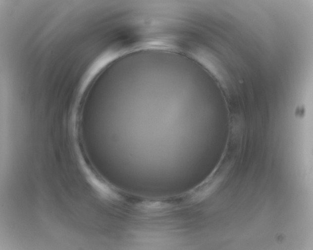 X0000095111474200712071205