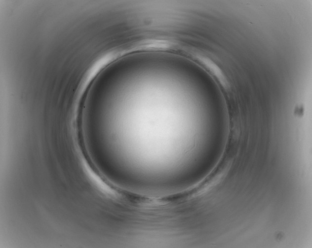 X0000095111475200712071205