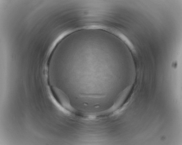 X0000095111476200712071205