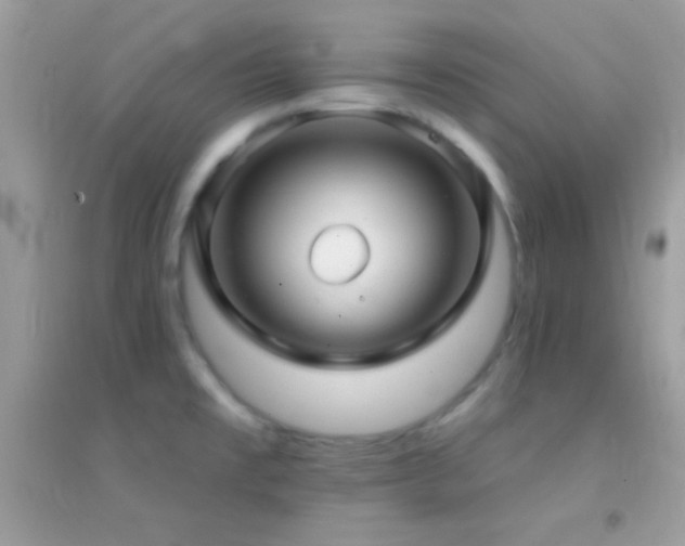 X0000095111477200712071205