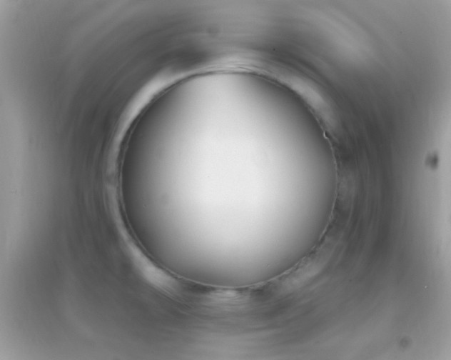 X0000095111478200712071205