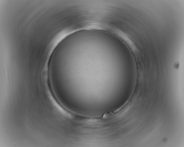 X0000095111479200712071205