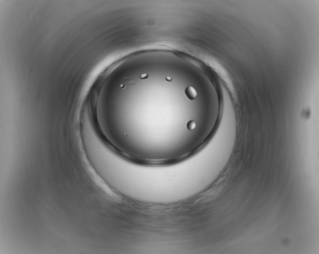 X0000095111480200712071205