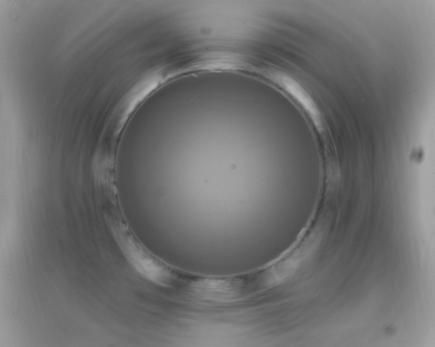 X0000095111481200712071205