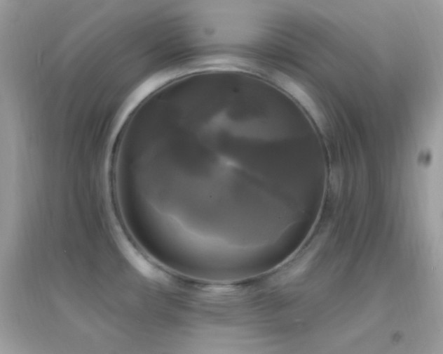 X0000095111482200712071205