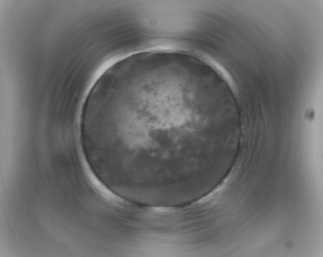 X0000095111483200712071205