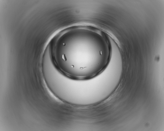 X0000095111484200712071205