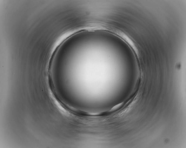 X0000095111485200712071205