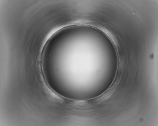 X0000095111486200712071205