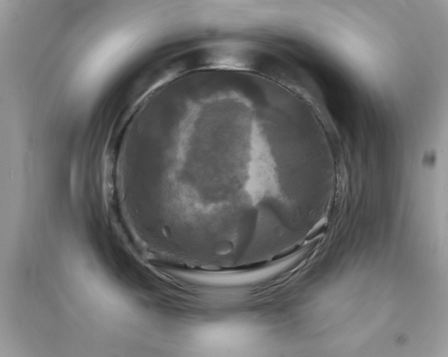 X0000095111487200712071205