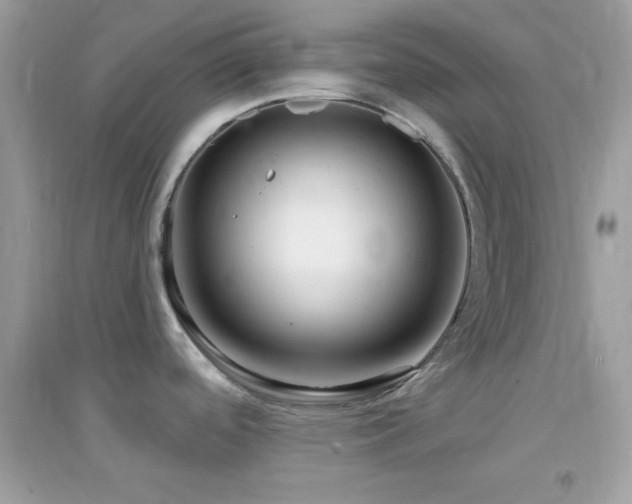 X0000095111488200712071205