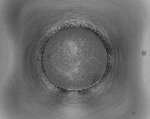 X0000095111489200712071204