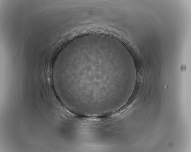X0000095111490200712071204