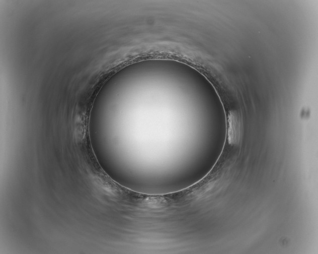 X0000095111491200712071204