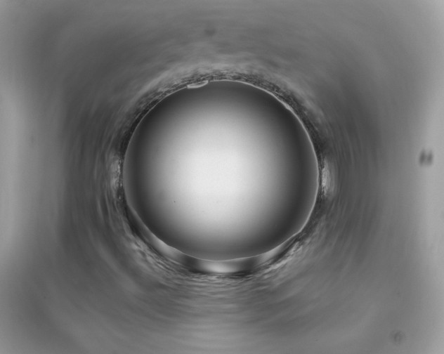 X0000095111492200712071205