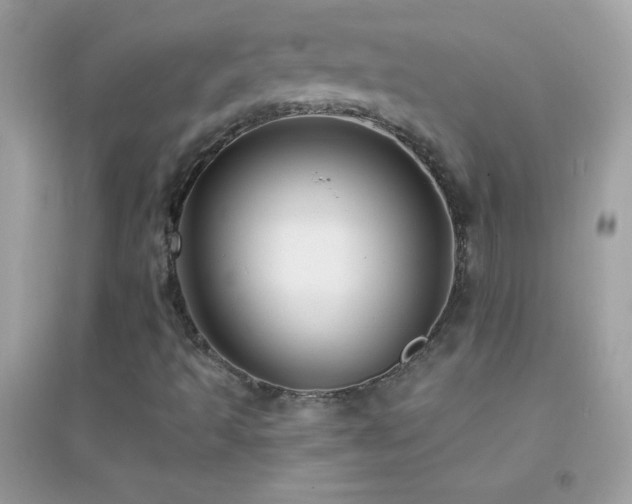 X0000095111493200712071205