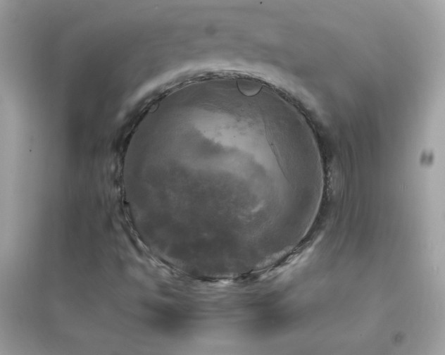 X0000095111494200712071205