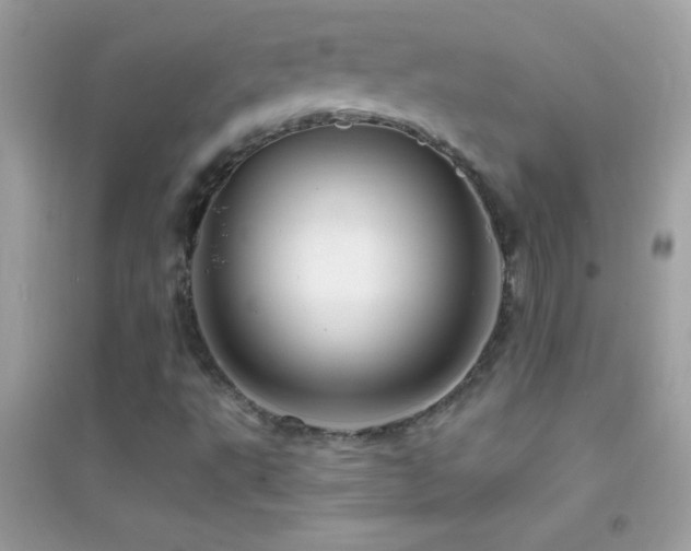 X0000095111495200712071205