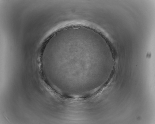 X0000095111496200712071205