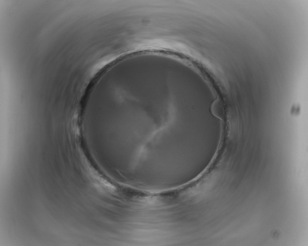 X0000095111497200712071205