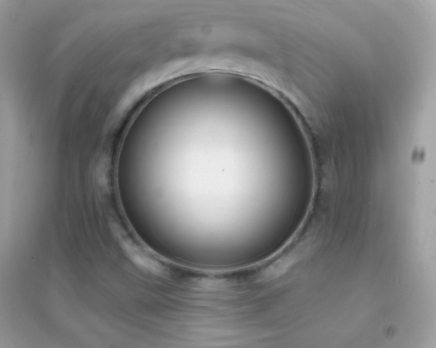 X0000095111499200712071205