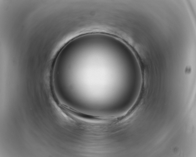 X0000095111500200712071205