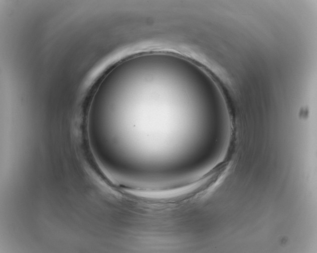X0000095111502200712071205