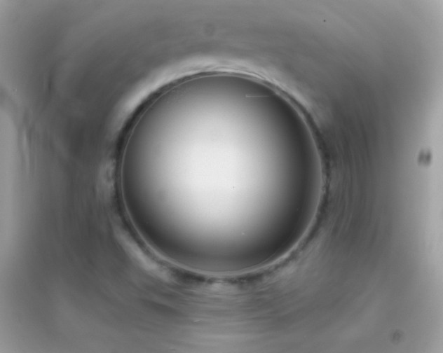 X0000095111503200712071205