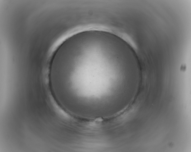 X0000095111504200712071205