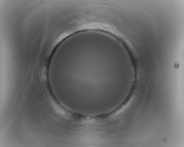 X0000095111505200712071205