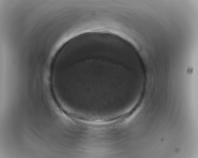 X0000095111506200712071205