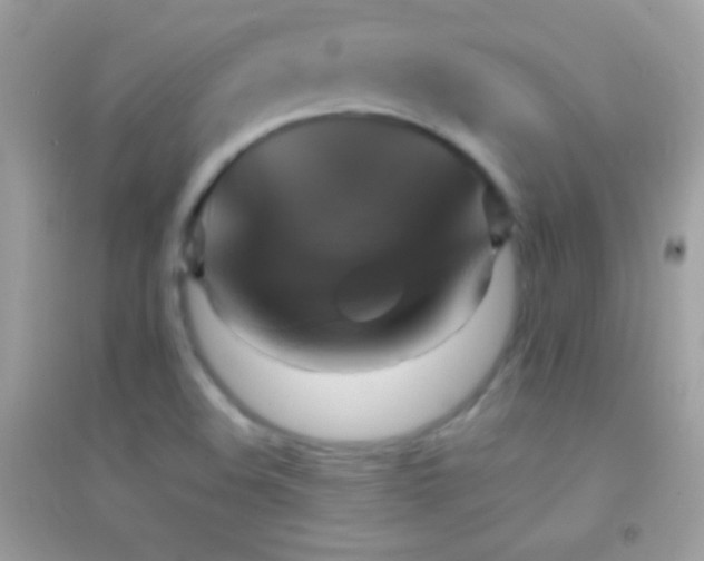 X0000095111508200712071205