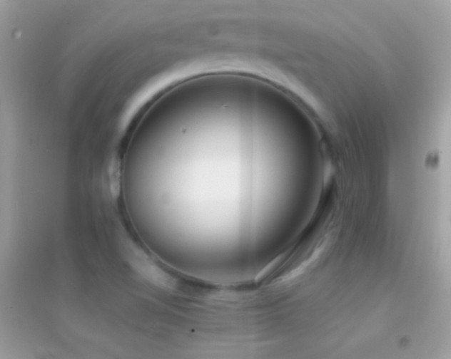 X0000095111510200712071205