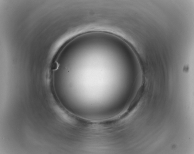 X0000095111511200712071205