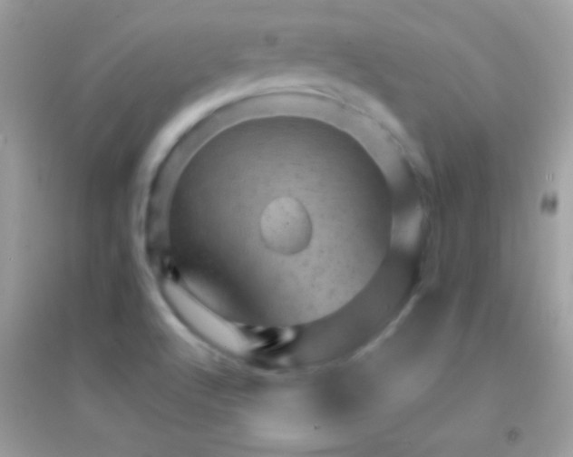 X0000095111512200712071205