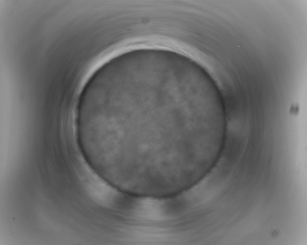 X0000095111514200712071205