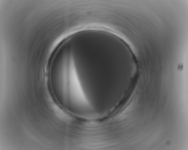 X0000095111515200712071205