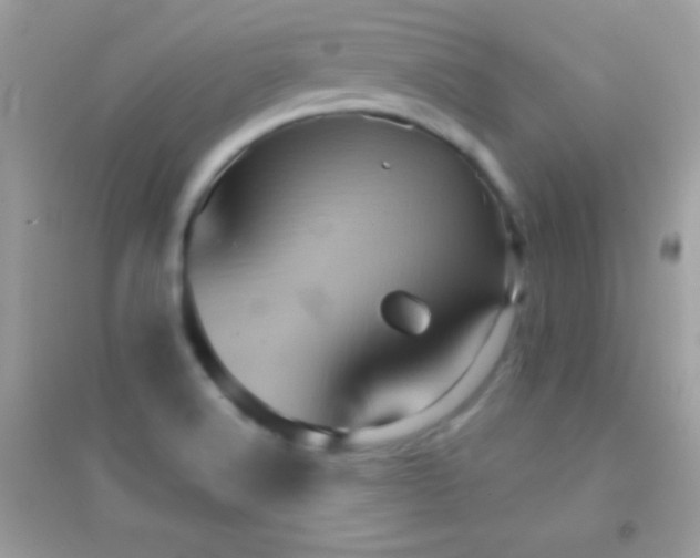 X0000095111516200712071205